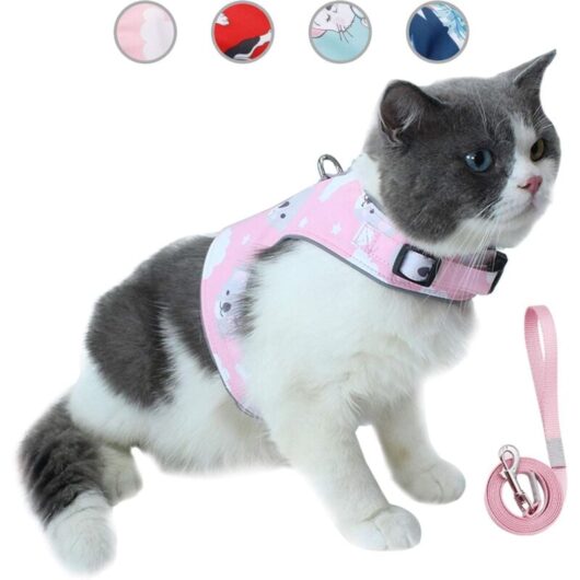 Memkey - Escape Proof Cat Leash and Harness Set, Adjustable Breathable Soft Mesh Pet Reflective Vest with Innovative Anti-Lost Card (XS,Pink)