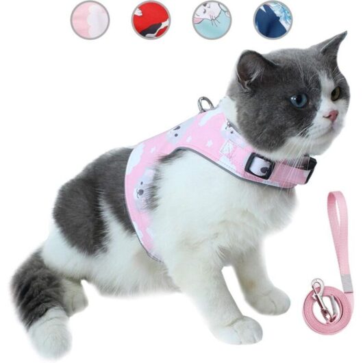 Cat Escape Leash and Harness Set, Adjustable Reflective Pet Vest with Breathable, Soft Mesh Fabric and Innovative Anti-Lost Card (S, Pink)